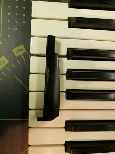 Moog polymoog single weighted - polymoog,
